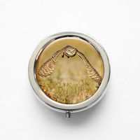RhyNSky Animal Owl Mini Portable Pocket Pill Box Case Holder for Purse, 3 Compartments, Silvery, FS202