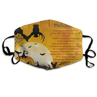 Happy Halloween Bat Pumpkin Owl Designer Dust Mouth Mask Reusable Anti-Dust Face Mask Adjustable Earloop Skin Protection