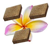 Plumeria air Scent for Aroma Beam