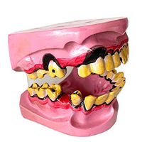 LXX Diseased Teeth Model - Common Odontology Model of Human Smokers Pathological Tooth Oral Model - Oral Care Patient Education Dental Model