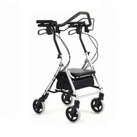 Raionatti Elderly Walker Grandmother Stroller Silver Car Walk Assistant Easily Foldable Two Breaks Aluminium Body