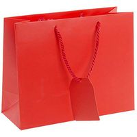 Jillson Roberts 6-Count Large 12.5" x 10" x 5" Gift Bags Available in 12 Solid Colors, Red Matte