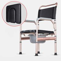 BINZHI Bedside Elderly Toilet Chair Aluminum Alloy Pregnant Chair Home Folding Toilet Suitable for Disabled Adults Pregnant Women Bedside Toilet (Color : D)