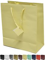 Novel Box® Ivory Matte Laminated Euro Tote Paper Gift Bag Bundle 8"X4"X10" (10 Count) + NB Cleaning Cloth