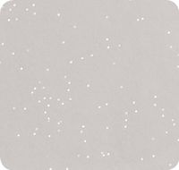 Jillson Roberts 24 Sheet-Count Gemstone Holographic Fleck Tissue Paper Available in 12 Colors, Silver