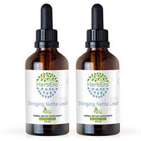 Stinging Nettle Leaf B120 (2pcs) Alcohol-Free Herbal Extract Tincture, Super-Concentrated Organic Stinging Nettle (Urtica Dioica) Dried Leaf (2x4 fl oz)