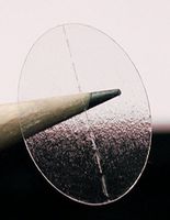 ChromaLabel 3/4 x 1 inch Clear Oval Wafer Seals, 1000/Roll, Perforated