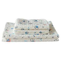 BIHIKI Washable and Reusable Incontinence Bed Pads,Waterproof Bed Pad,Underpad Protector for Adults,Elderly,Kids,1 PC (20"X27"/50X70CM)