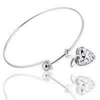 Aromatherapy Essential Oil Diffuser Lava Stone Bracelet Vintage Apple Cage Locket Adjustable Silver Bangle