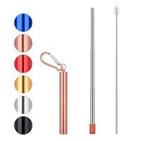 Reusable Drinking Metal Straws - Portable Stainless Steel Telescopic Collapsible Straw with Case, Silicone Tip, Cleaning Brush, Keychain (Rose gold)