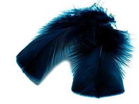 Moonlight Feather, Peacock Feathers ; Navy Blue Peacock Feathers; Bleached 5 Pieces Per Pack