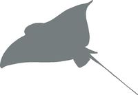 hBARSCI Stingray Vinyl Decal - 5 Inches - for Cars, Trucks, Windows, Laptops, Tablets, Outdoor-Grade 2.5mil Thick Vinyl - Gray