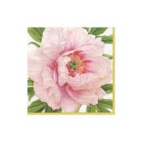 Caspari Blush Paper Cocktail Napkins - 20 Per Package