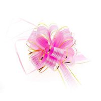 Mimi Pack 6" Diameter Easy Pull and Tie Gold Trim Bows for Holiday Christmas Home Office Decorations Easter Ribbons and Bow for Gifts Present 20 Bows (Pink)