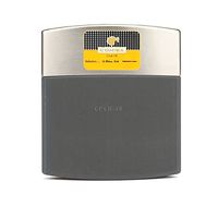 Popular Portable Travel Carrying Mini Cigar Holder Case Humidor Cedar Lining no Cutter Nice Gift Box (Stainless Steel)