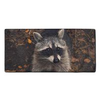 Autumn Raccoon Microfiber Multi-Purpose Cleaning Towels Perfect for Kitchens, Dishes, Car, Dusting, Drying Rags, 11.8 × 27.5 Inches