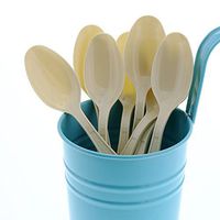 AmerCare Champagne Heavy Weight Polystyrene Teaspoons with Retail Packaging, Case of 1000