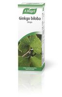 The Healthy Option Ginkgo Biloba 100Ml
