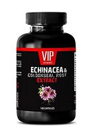 antioxidant Supplement - Echinacea & Goldenseal Root 300MG - goldenseal Root - 1 Bottle (100 Capsules)