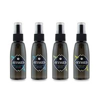 HYSSES Room Scent Gift Set, 65ml (Set of 4), Bergamot Geranium, Ginger Peppermint, Lemongrass, Verbena Rose, 65 milliliters