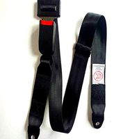 LRWSB Simple Two-Point Safety Belt Polyester General Safety Belt Entertainment Equipment Entertainment Safety Rope Two-Point Protective Belt