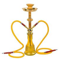 Weiduoli 2 Hose Hookah Shisha Pipe Narghile Party Smoking Set 5017cm