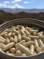 Lion's Mane Mushroom Capsules (90) by Mushroom Valley Farms, 100% Organic and Pure Mushroom Bodies, Never Mycelium