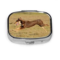 Small Pill Box Australian Kelpie Sprinting Running Cute Pill Case Daily Pill Portable for Pocket Purse Briefcase Travel Pills Box Medicine Storage