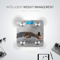 LYAOE Bluetooth Body Fat Scale Hurry Furry Red Squirrel Running On Smart Wireless Scale with LCD Display Measuring Body Weight Bmi and Health Digital Scale