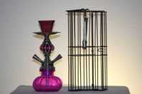 New 2 Hose Pumpkin Hookah with Cage 11 inch (Pink)
