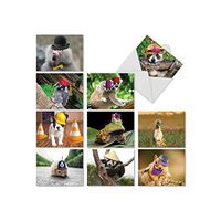 The Best Card Company - 10 Blank Animal Cards Boxed (4 x 5.12 Inch) - Assorted Pets, Zoo, Wildlife Cards for Kids - Capped Creatures M6470OCB