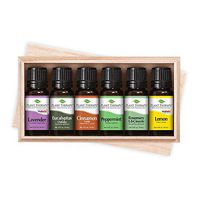 Plant Therapy Essentials Gift Set - Lavender, Peppermint, Eucalyptus, Lemon, Rosemary, Cinnamon, in A Wooden Box 100% Pure, Undiluted, Natural Aromatherapy, Therapeutic Grade 10 mL (1/3 oz)