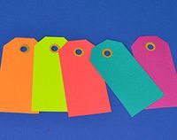 20 Large Luggage Style Bright Coloured Tags for Crafts | Christmas Gift Wrap