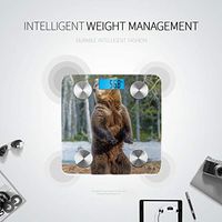 Brown Bear is Standing Up Most Accurate Weight Scale Digital Scales Body Bluetooth Weight Scale Tracks 8 Key Compositions Analyzer Sync with Fitness Apps 400 Lbs