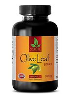 Cholesterol lowering Supplements - Natural Olive Leaf Extract 500MG - Olive Leaf Immune - 1 Bottle (60 Capsules)