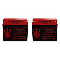 Schumacher Electric SHUPSJ-4424 (SP12-22) 12V 22Ah SLA Replacement Jumper Starter Battery by Neptune - 2 Pack