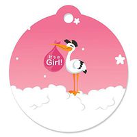 Girl Special Delivery - Pink It's A Girl Stork Baby Shower Favor Gift Tags (Set of 20)