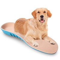 Sports Insoles Professional Arch Support Relieve Flat Feet Plantar Fasciitis Heel Spurs Foot Pain Shock Absorption Breathable Cushioning Memory Foam Shoe Inserts （M 10.4IN Men 7.5-9 / Women 9.5-11）