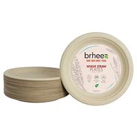 Brheez 10" Wheat Straw Fiber Plates - 100% Natural - Sturdy Biodegradable Compostable & Eco-Friendly (Pack of 60)