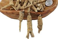 DABC OAK LAND Sample 40g Hand-Selected American Wisconsin Farmed Ginseng Root | Whole |美国威斯康辛州 长枝西洋参 花旗参 实惠装 | Cultivated Wisconsin American Ginseng WI 063# Sample