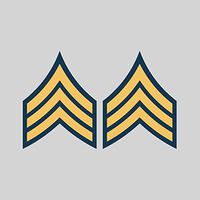 fagraphix Two Pack E-5 Sergeant Insignia Sticker Decal Vinyl United States Army FA Vinyl