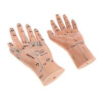 1 Pair PVC Human Acupuncture Point Meridian Hand Teaching Education Tool
