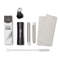 Collapsible Stainless Steel Straw with Travel Case (Black)