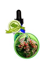 Clove Leaf Essential Oil - Syzygium aromaticum - 120ml (4oz)