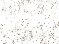 ADT_INK Excellent Clear Cello 3 Rolls Cellophane Gold Sprinkles Gift Basket Florist Wrap 300 Feet