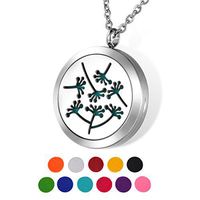 HOUSWEETY Aromatherapy Essential Oil Diffuser Necklace-Stainless Steel Locket Pendant,11 Refill Pads(Engraving)