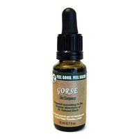 Feel Bach! Flower Gorse 20 ml