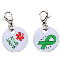 Kidney Disease Snap-On Bracelet Charm-Parent (Stainless Steel)