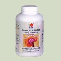DXN Ganocelium (GL) 100% Ganoderma Mycelium (360) by DXN