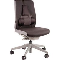 Fellowes Professional Series Back Support, Black (8037601)